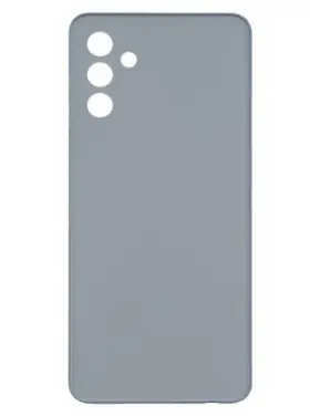 Back Glass Samsung Galaxy S25 with Camera Lens Gray